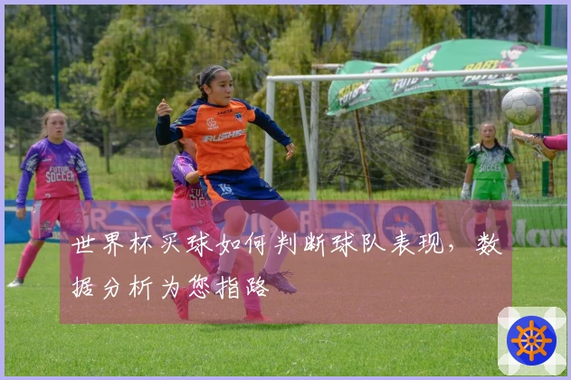 世界杯买球如何判断球队表现，数据分析为您指路