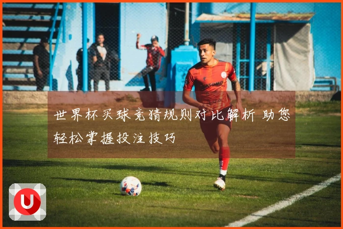 世界杯买球竞猜规则对比解析 助您轻松掌握投注技巧