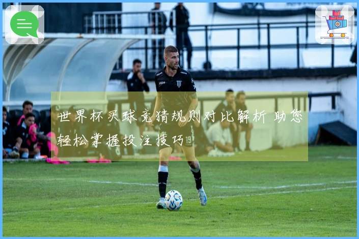 世界杯买球竞猜规则对比解析 助您轻松掌握投注技巧