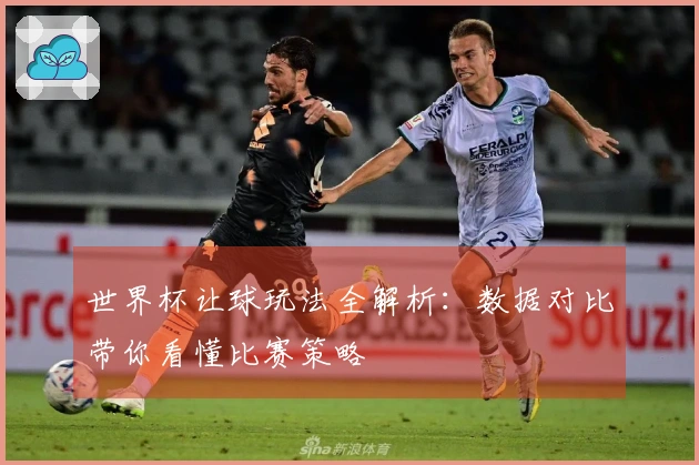 世界杯让球玩法全解析：数据对比带你看懂比赛策略