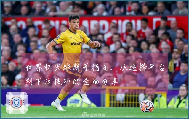 世界杯买球新手指南：从选择平台到下注技巧的全面分享