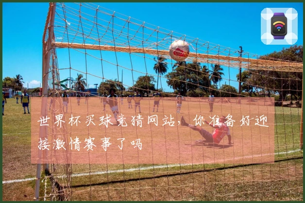 世界杯买球竞猜网站，你准备好迎接激情赛事了吗